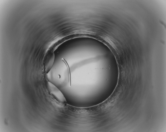 X0000095920971200801181414