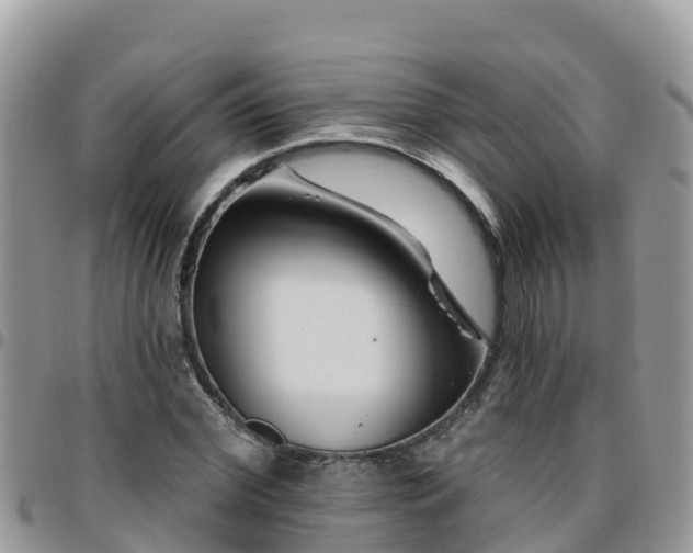 X0000095920972200801181414