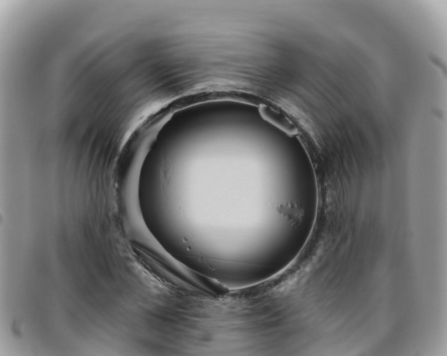 X0000095920973200801181414