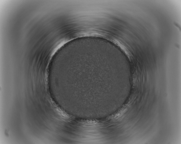 X0000095920975200801181414