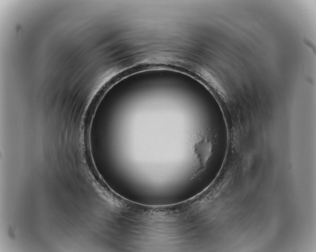 X0000095920976200801181414