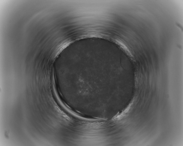 X0000095920977200801181414