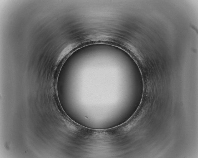 X0000095920978200801181414