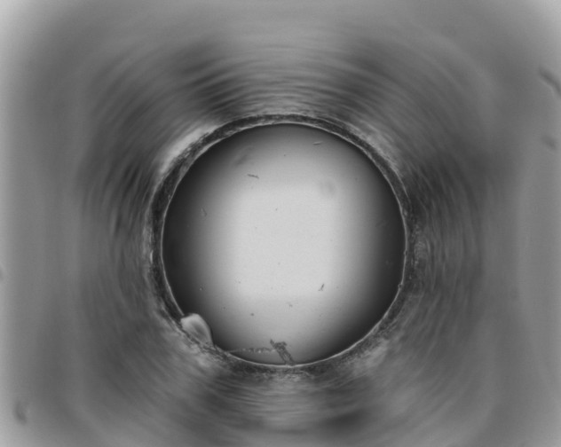 X0000095920979200801181414