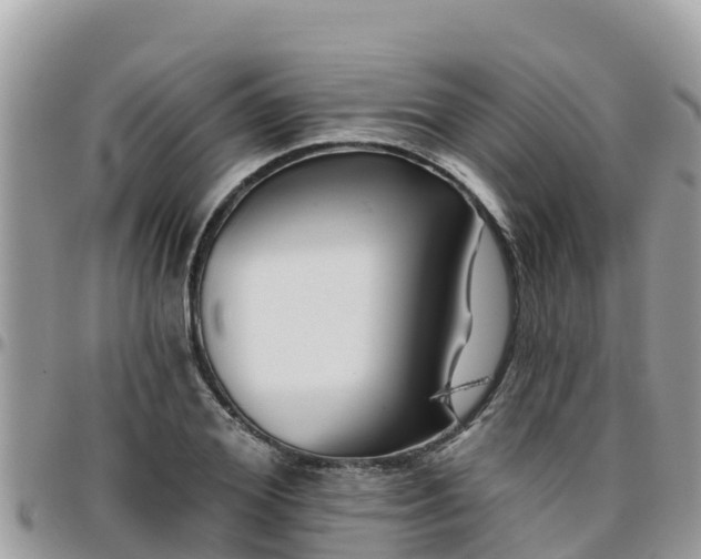 X0000095920980200801181414