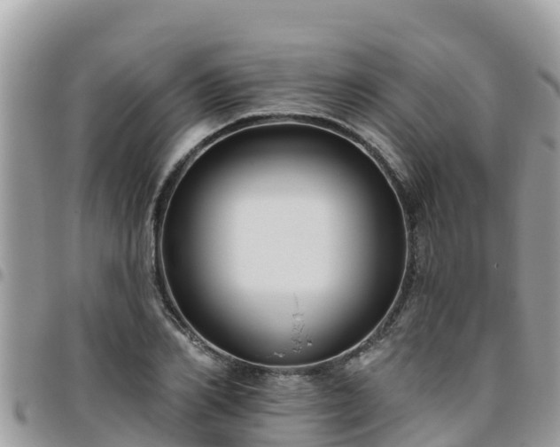 X0000095920982200801181414