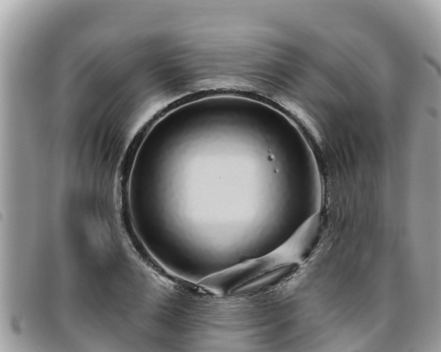 X0000095920983200801181414