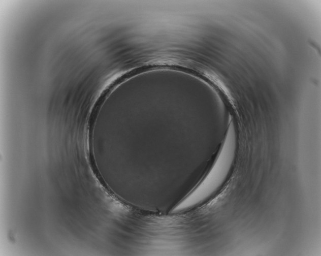 X0000095920984200801181414