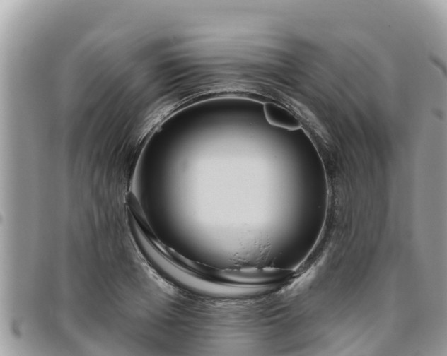 X0000095920985200801181414