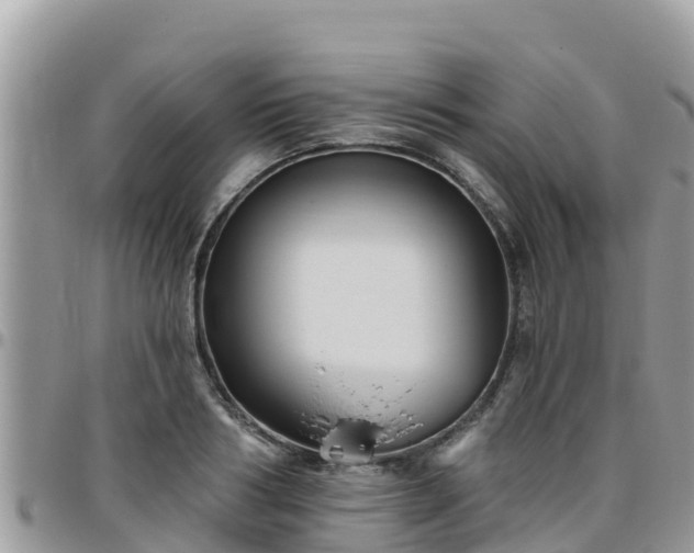 X0000095920986200801181414