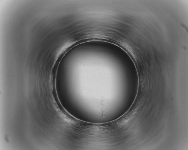 X0000095920987200801181414