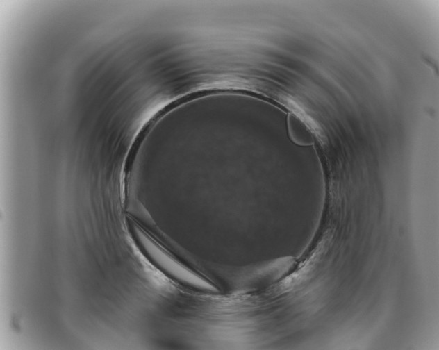 X0000095920988200801181414