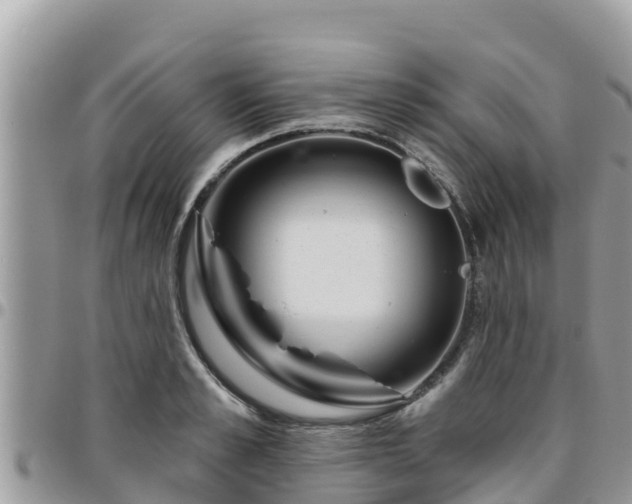 X0000095920989200801181413