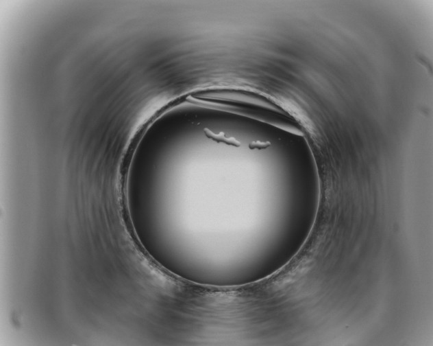 X0000095920990200801181413