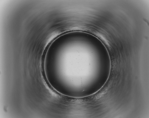 X0000095920991200801181413