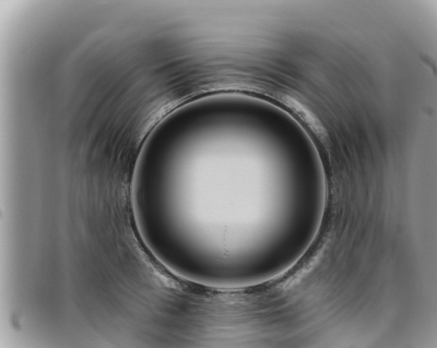 X0000095920993200801181413