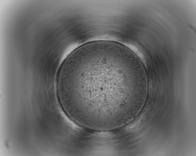 X0000095920998200801181413