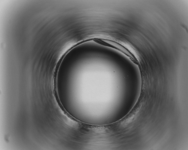 X0000095920999200801181413