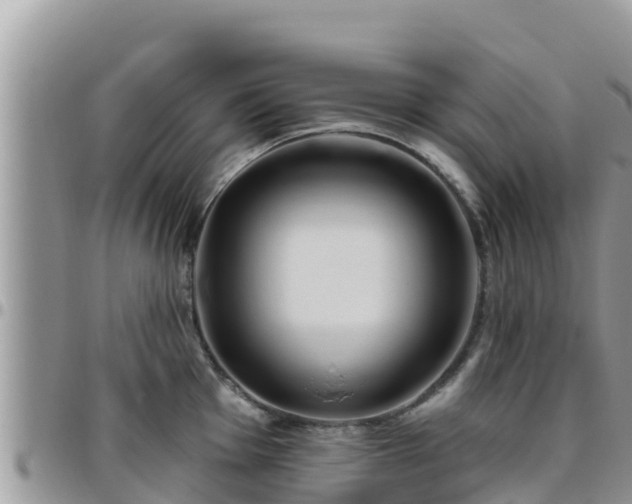 X0000095921001200801181413