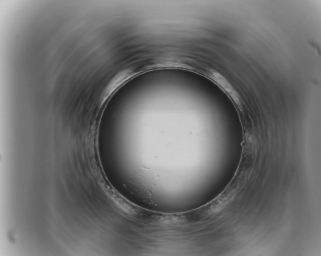 X0000095921002200801181413