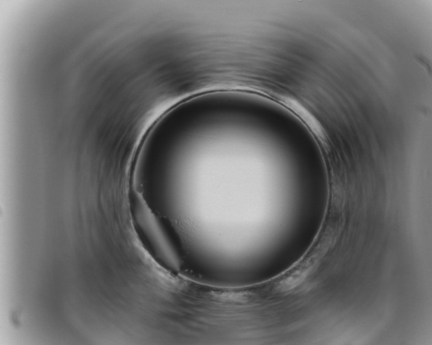 X0000095921004200801181413