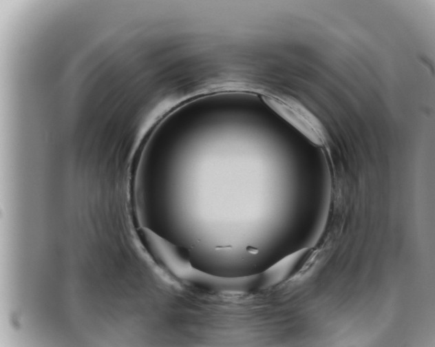 X0000095921005200801181413