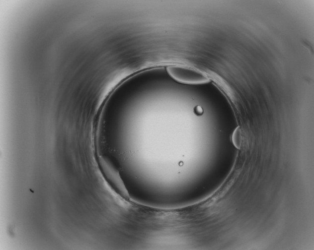 X0000095921006200801181413