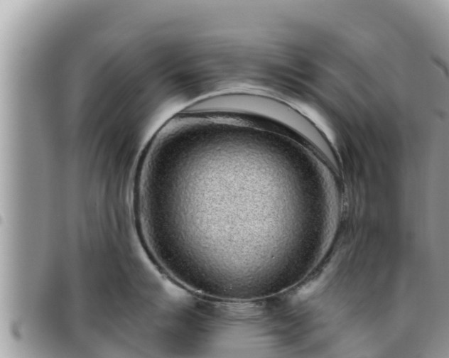 X0000095921007200801181413