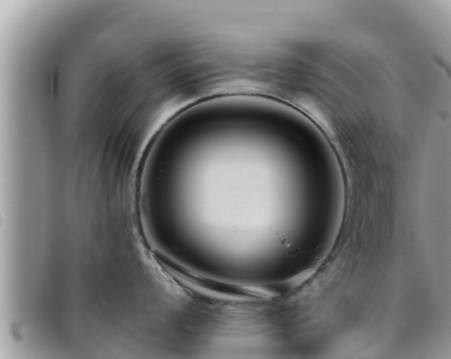 X0000095921008200801181413