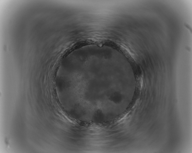 X0000095921009200801181413