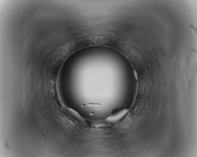 X0000095921010200801181413