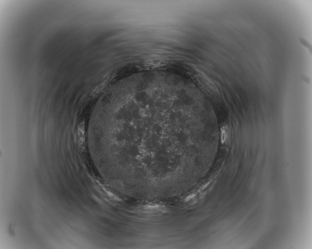 X0000095921011200801181413