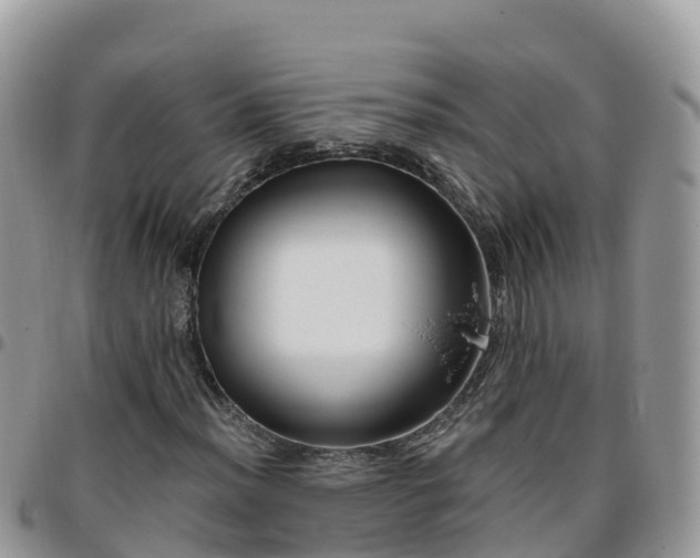 X0000095921012200801181413