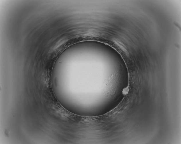 X0000095921015200801181413