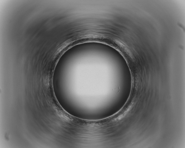 X0000095921017200801181413