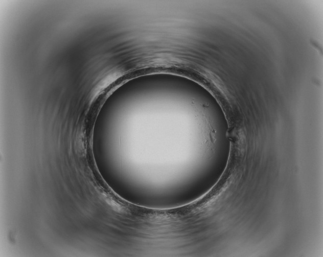 X0000095921018200801181413