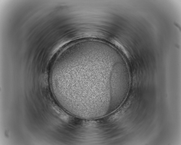 X0000095921019200801181413