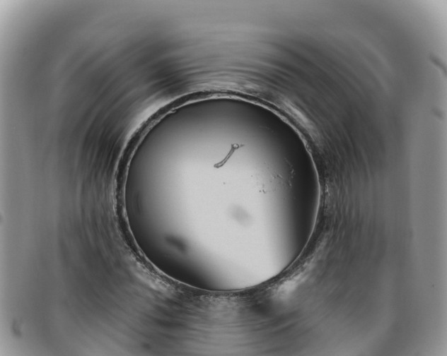 X0000095921020200801181413