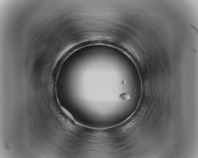 X0000095921021200801181413