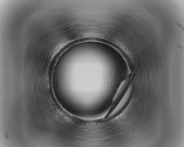 X0000095921022200801181413