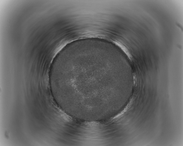 X0000095921023200801181413