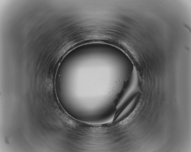 X0000095921025200801181413