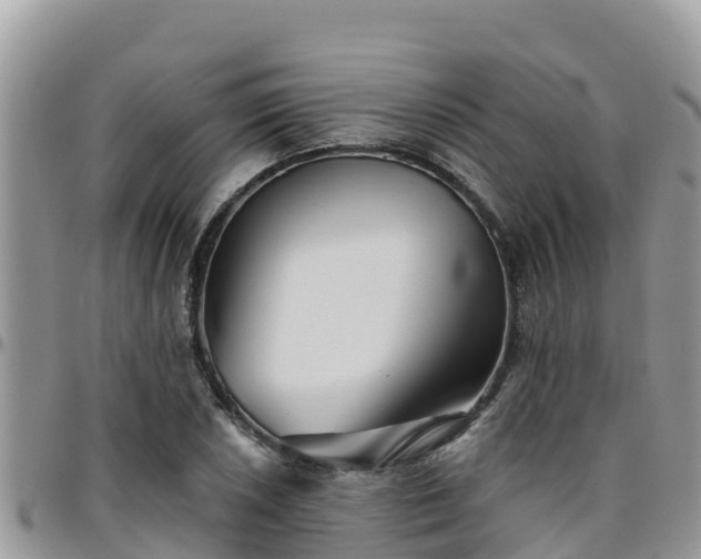 X0000095921026200801181413