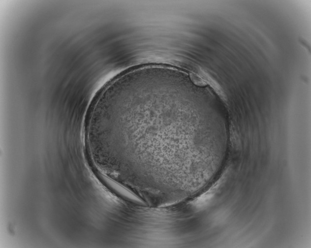 X0000095921028200801181413