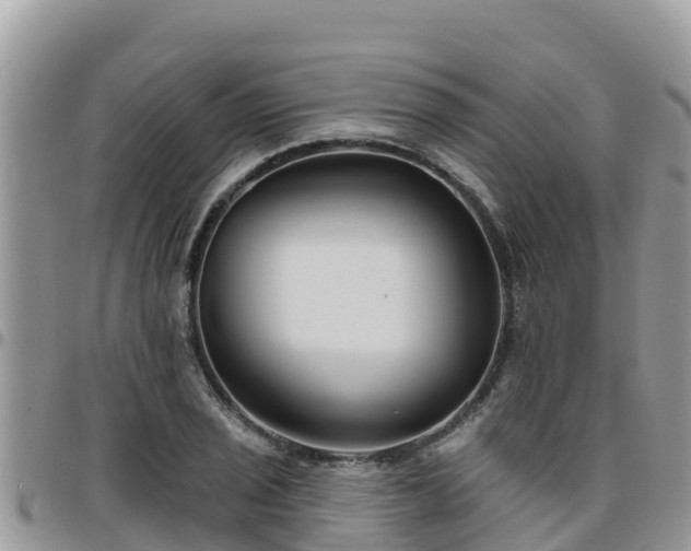 X0000095921029200801181413