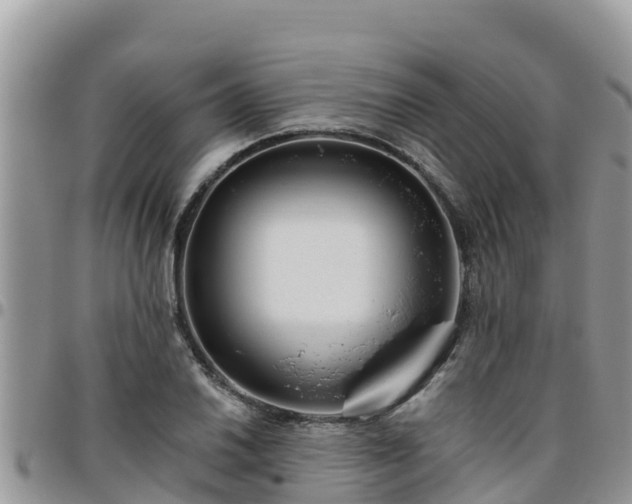 X0000095921030200801181413