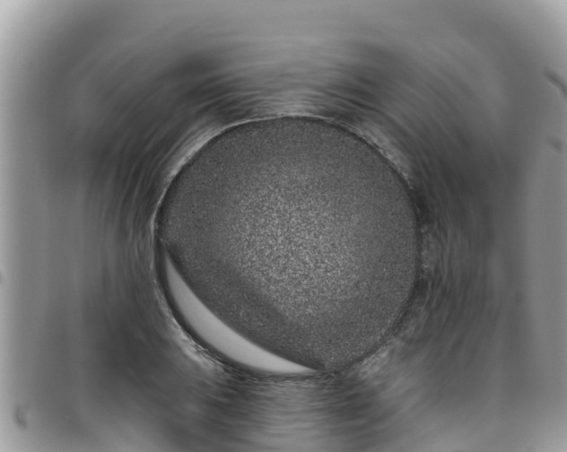 X0000095921031200801181413