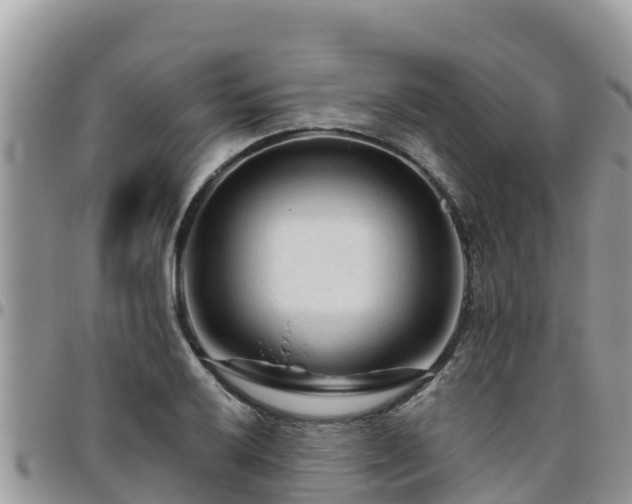 X0000095921032200801181413