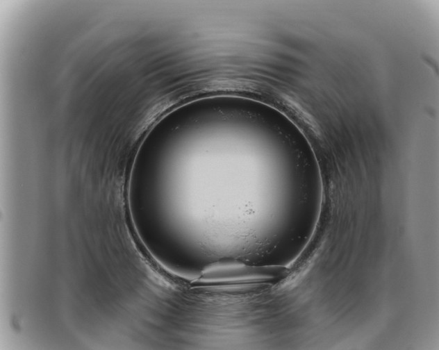 X0000095921033200801181413