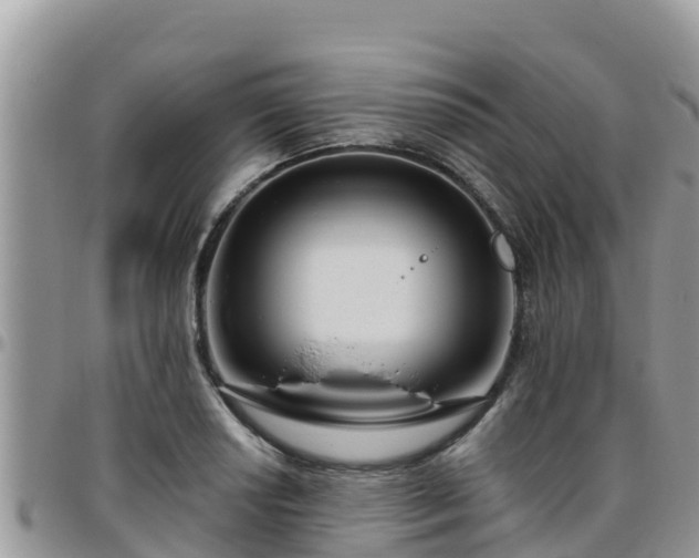 X0000095921034200801181413